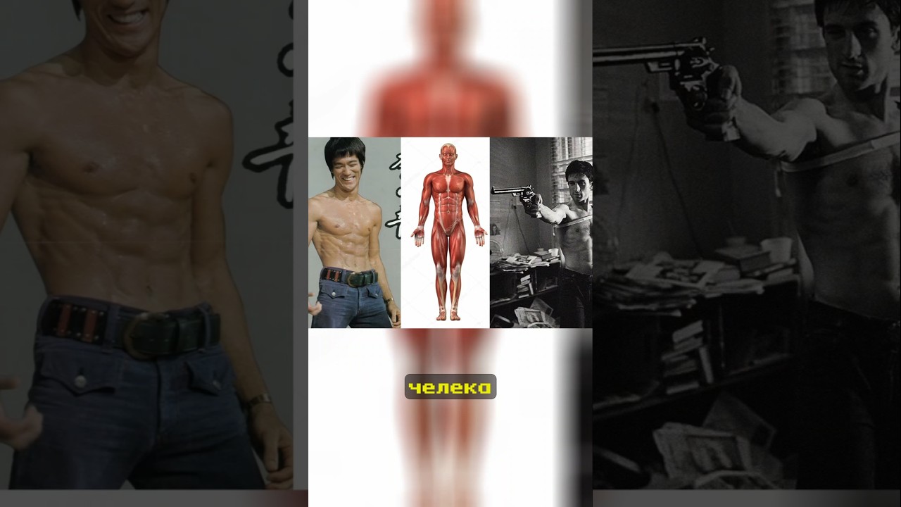 Эстетика тела в моде 