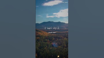 خواتيم سورة النازعات بصوت محمد عصام