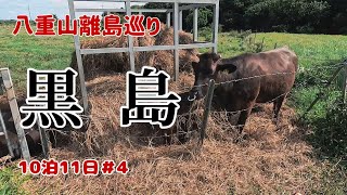 【教えたくない大人の隠れ家】ハートアイランド黒島★人より牛が多い離島で癒された！