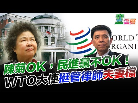 2020.07.17｜陈菊OK，民进党不OK！WTO大使挺管律师夫妻档｜童温层