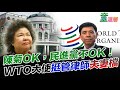 2020.07.17｜陳菊OK，民進黨不OK！WTO大使挺管律師夫妻檔｜童溫層