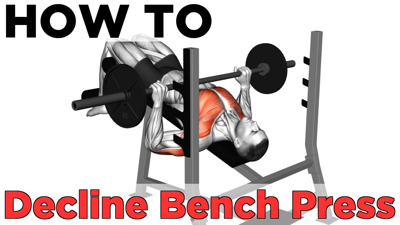How to Barbell Decline Bench Press - YouTube