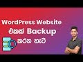 How to Backup WordPress Website - Sinhala