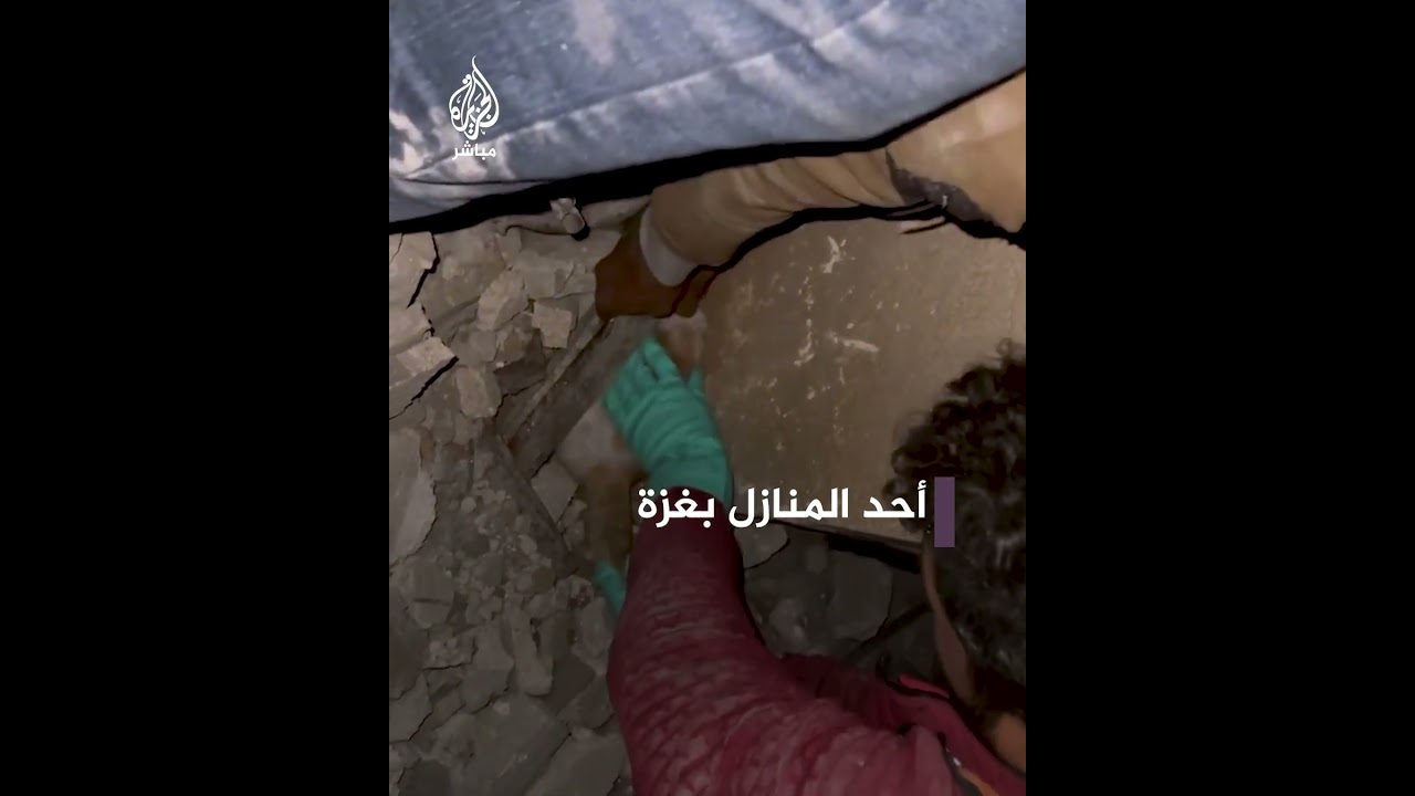 طواقم الدفاع المدني تنجح في إنقاذ قطة من تحت أنقاض أحد المنازل في غزة
