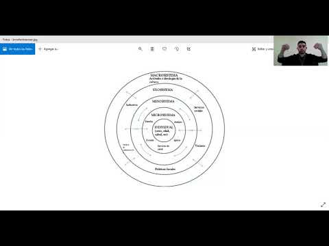 MODELO ECOLÓGICO DE BRONFENBRENNER YouTube