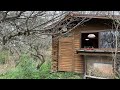 10万円の小屋暮らし。その3