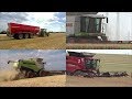 BIG HARVEST BARLEY &amp; RAPE 2017 |Class Lexion 770 &amp; Case IH 9230| Agriculture