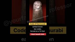 #babylonians #hammurabi #neosumerian #ugcnetpaper2 #visualart #westernart #his #history