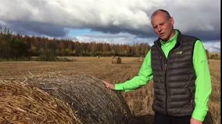 Tama Edge To Edge -Käärintäverkon Edut