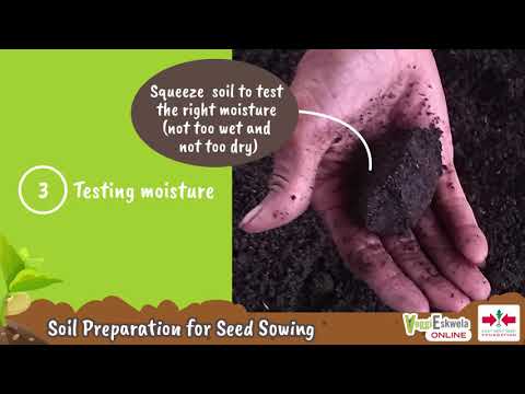 Video: Preparation And Planting Of Seedlings In The Ground