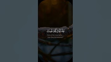 أفلا ينظرون إلى الإبل كيف خلقت  - #فهد_القرني - #سورة_الغاشية #حالة_واتس