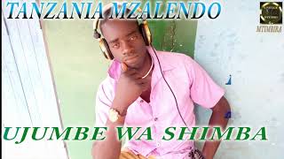 TANZANIA MZALENDO UJUMBE WA SHIMBA by Lwenge studio Morogoro (mtimbira)