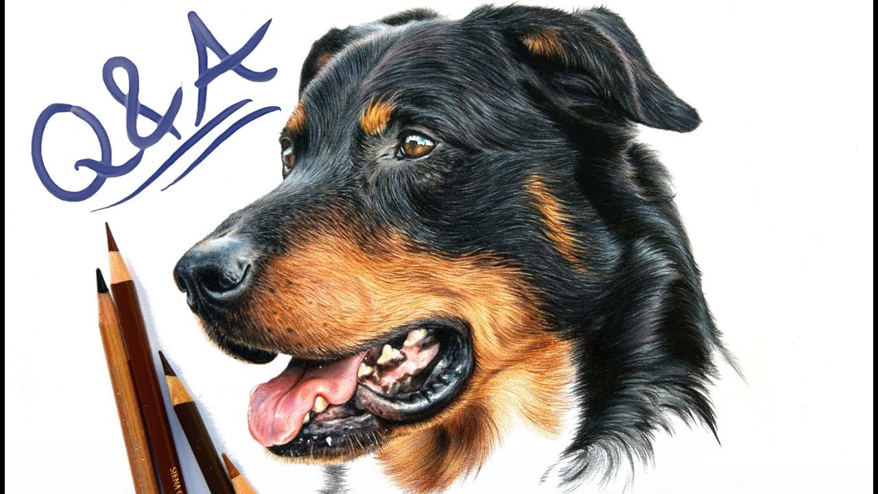 Artist Q&A! How to deal with art block and more!