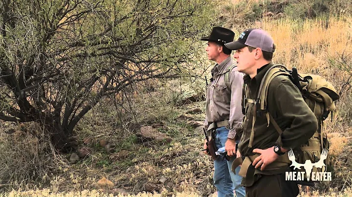 Hunting Mountain Lion with Dogs - Steven Rinella M...