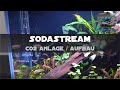 SODASTREAM AQUARIUM CO2 ANLAGE / AUFBAU