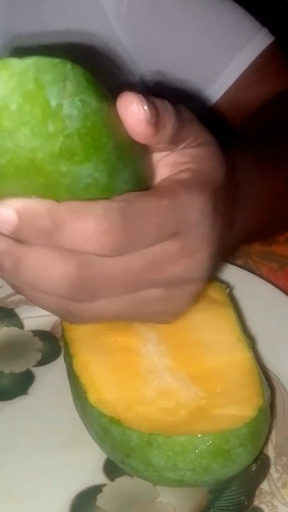 https://youtube.com/shorts/g2nwnC1Xn0E?si=GHgmWD7kOD494wiy