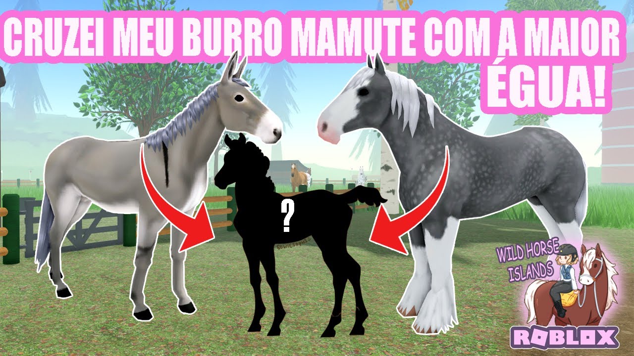CRUZEI MEU BURRO MAMUTE COM MINHA ÉGUA GIGANTE E NASCEU ISSO...​  - ROBLOX wild horse island