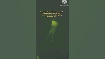 chilling final moment of Cameron Robbins | shark attack? what really happened to him?