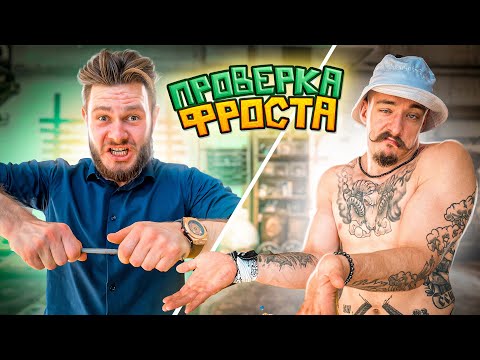 видео: ПРОВЕРКА FROSTA НА БЛУД