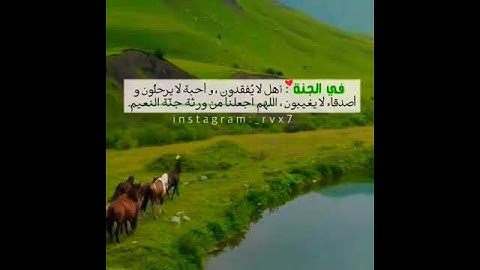 راحه نفسيه من ترتيل القرآن الكريم/ القارئ هزاع البلوشي ❤/ حالات واتس اب دينيه