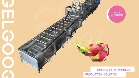 Automatic Fruit (Pitaya，Dragon Fruit) Washing And Air-Drying Sorting Line