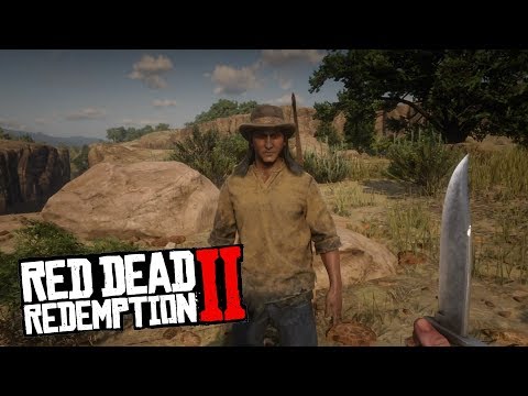 Видео: Игроки Red Dead Redemption 2 пробиваются в Мексику