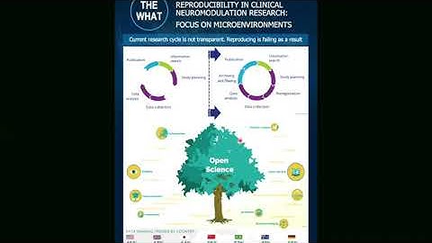 TOWARDS COMPUTATIONAL REPRODUCIBILITY IN CLINICAL NEUROMODULATION RESEARCH
