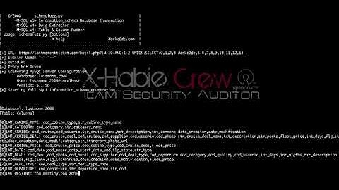 [xhabie-crew] sql injection with schemafuzz