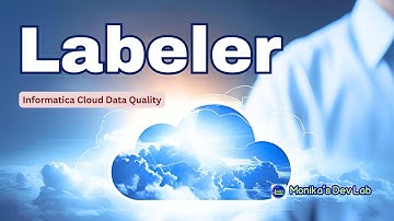 Informatica Labeler Explained | Labeling Data for Better Data Quality in IDMC CDQ