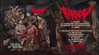 TURBIDITY - Orgies Of Sadism | Full Stream | BRUTAL MIND