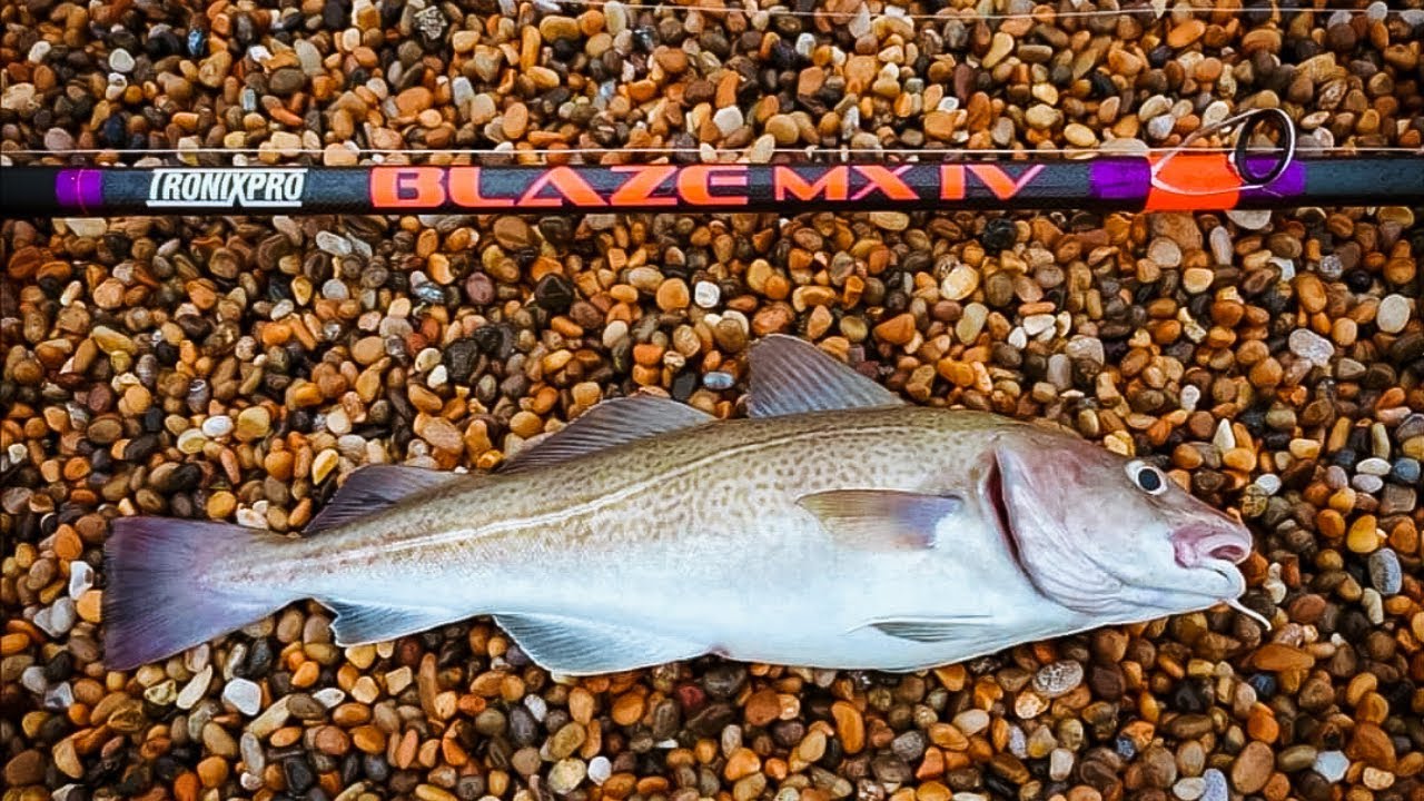 Conger & Cod Fishing On Chesil Beach, Night Session With Wayne Hand