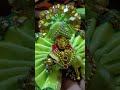 Jai Shree Krishna 🙏#youtubeshorts #shots #shotsvideo #shotfeed #viral #video
