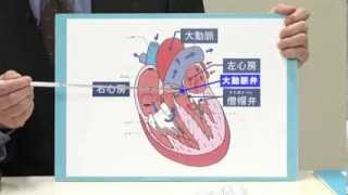 あなたの保健・医学講座：心臓・大動脈手術（2012.3.18）