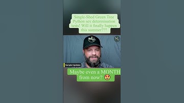 Green Tree Python Sample Update from 6/19!