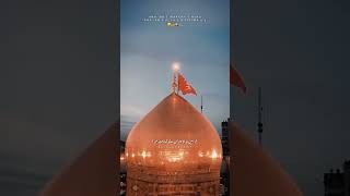 Nadeem Sarwer Noha Status Short Video, Ana Ibn E Ali O Fatimah, #shortvideo #video #shorts #noha #yt