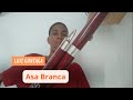 Asa Branca - Luiz Gonzaga