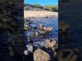 Kilcunda Beach - Victoria, Australia #rockycliff #beach #sand #travel #hike