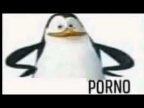 penguins porno meme