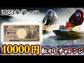 【ボートレース】1万円を転がし爆勝ちへ!!やっぱり勝たないと意味がない!! 【競艇 ギャンブル 予想 笑える】