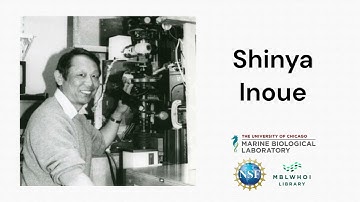 Shinya Inoué