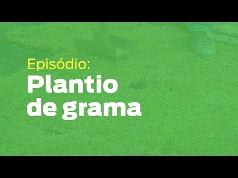 Vídeo: Dicas para semear seu gramado - Quando e como semear gramados