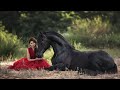 Wildest dreams  chill equestrian music