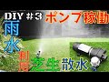 【DIY】雨水タンクにポンプ設置で芝生の水やりが楽に！