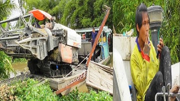 CẢNH MÁY CẮT LÚA KUBOTA DC70 PLUS CHẠY ĐẤT LÚNG XUỐNG PHÀ