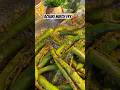Achari Mirch Fry 🌶️#trending #food #recipe #viral #indianfood #cooking #mirchi