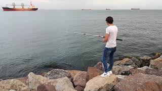 Kartal Sahil Istavrit Ve Sardalya Avı