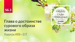 56.3 Сады праведных. ГЛАВА О ДОСТОИНСТВЕ СУРОВОГО ОБРАЗА ЖИЗНИ. Хадисы 499—517