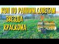 ЗВЕЗДА КРАСКОМА -Коп по дореформе - Кокарда РККА молот с плугом - краском - Коп с XP ORX