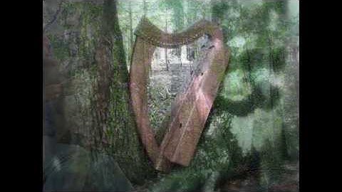 Demo of Black Walnut Sgian Wire Strung Harp