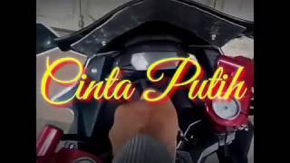 cinta putih - gubernur